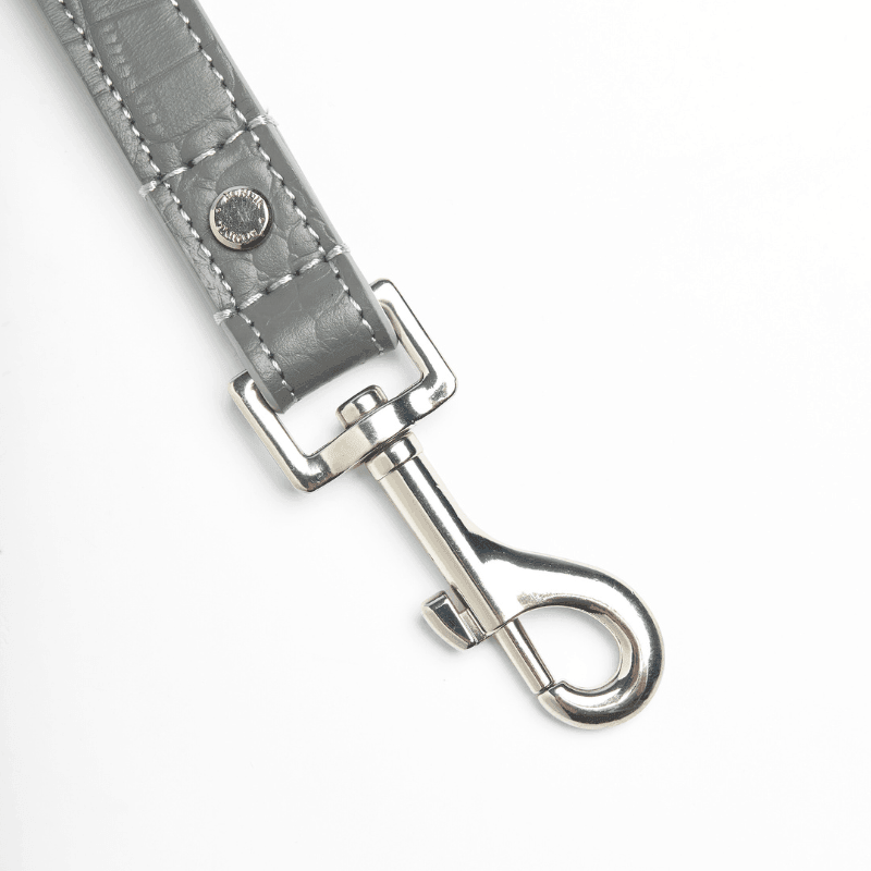 Premium Moonstone Leather Dog Leash - Durable & Stylish for Small to Medium Dogs - Perfect for Daily Walks, Training & Outdoor Adventures