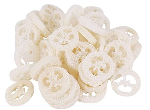 AmoolyaZ 100% Natural Organic Loofah Slices for Soap Making - 10 Pack - Eco-Friendly Bath & Shower Soap Base - Perfect for DIY Handmade Soaps, Spa Treatments and Natural Skincare Products