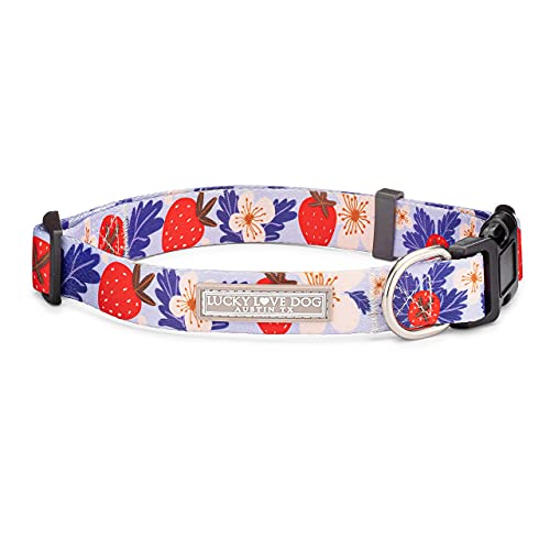 SweetBerry Collar Only