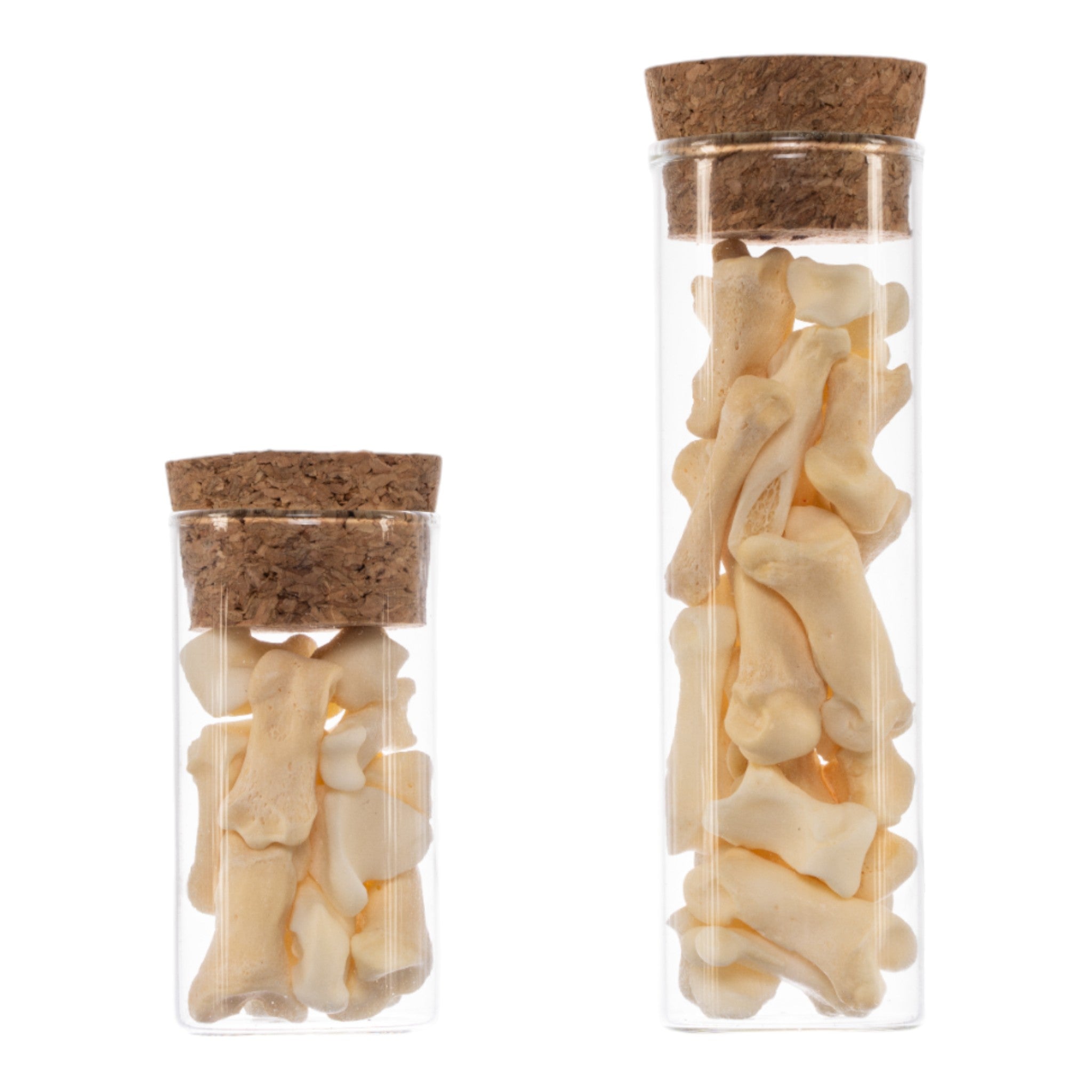 Authentic Real Jar of Bones - Genuine Human Skeleton Specimen for Science Education, Medical Study & Halloween Decor