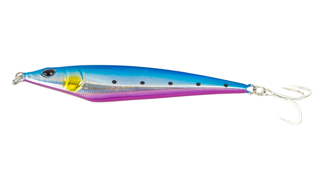 Sardine