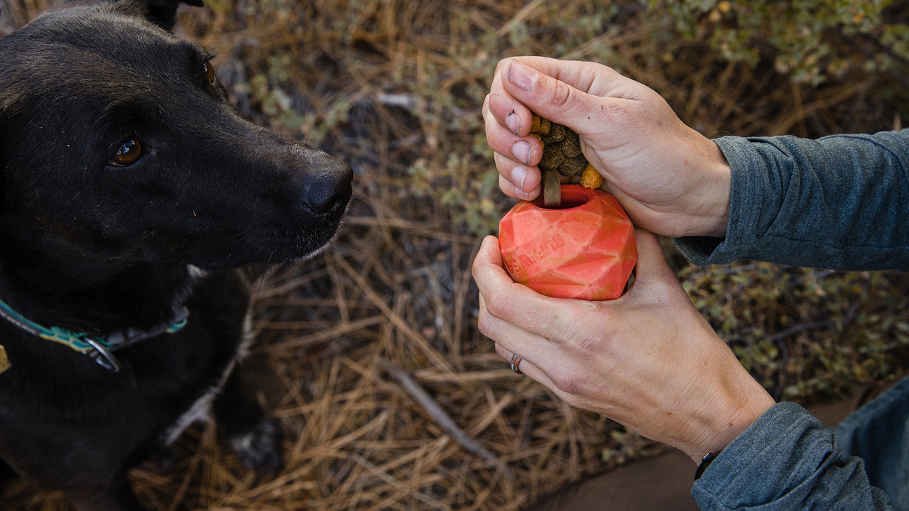 Ruffwear® Gnawt A Cone® Salamander Orange Dog Chew Toy & Treat Dispenser - Durable Interactive Play for Active Dogs, Perfect for Fetch, Training, and Outdoor Adventures
