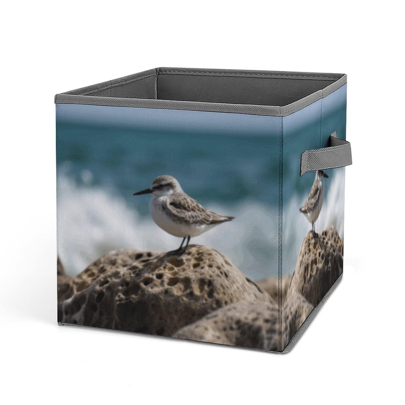 Foldable Storage Cube with Handle - Bird Perching on The Rock Design - Clothes Organizer Bin for Cabinet, Shelf & Closet Organization - Perfect for Bedroom, Nursery & Home Decor Storage Solutions