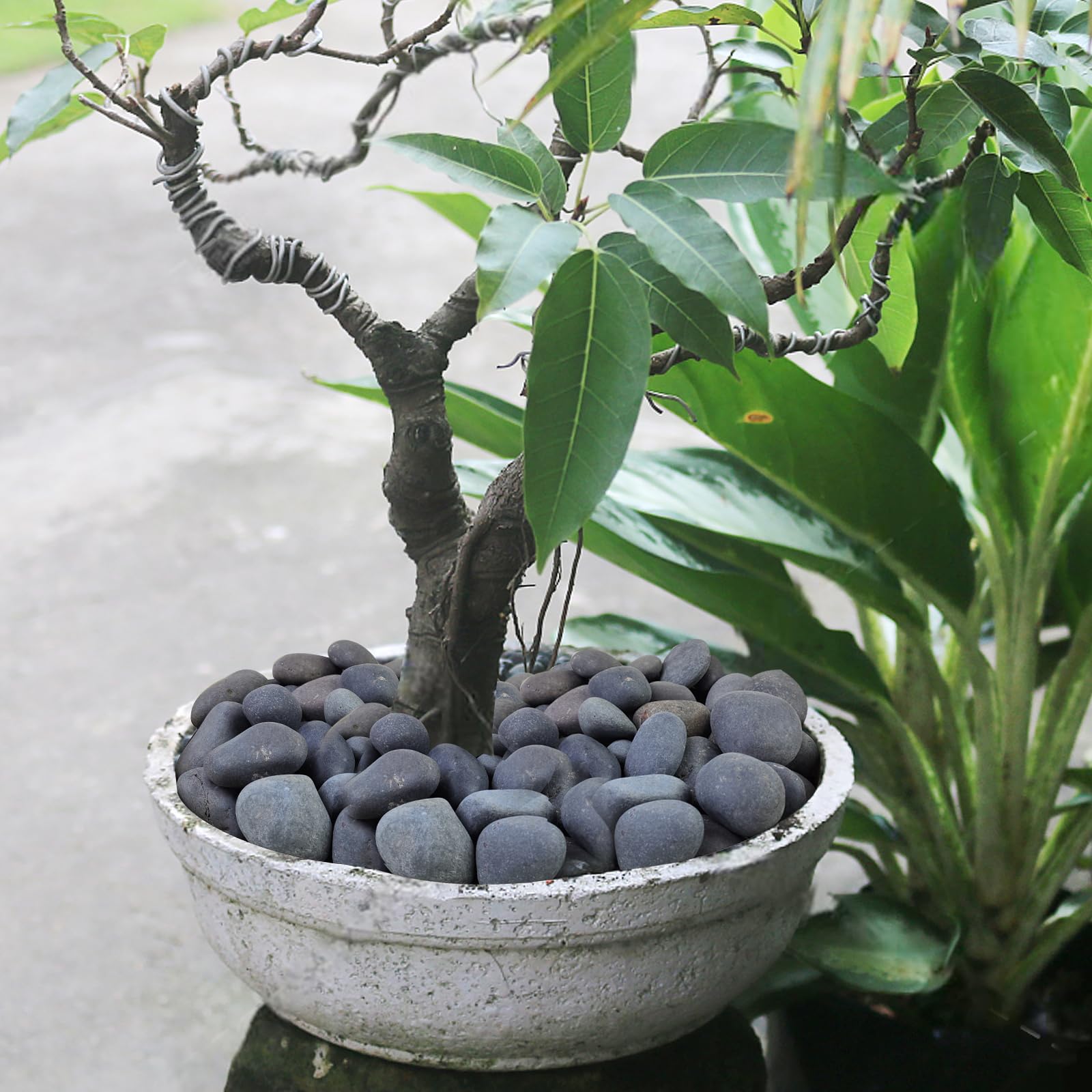 Natural Black River Rocks 2-3 Inch - Decorative Landscaping Stones for Garden Beds, Potted Plants, Fish Tanks & DIY Pathways - Bulk 20lbs for Backyard Accent, Walkways & Craft Projects - Perfect for Outdoor Decor & Home Improvement