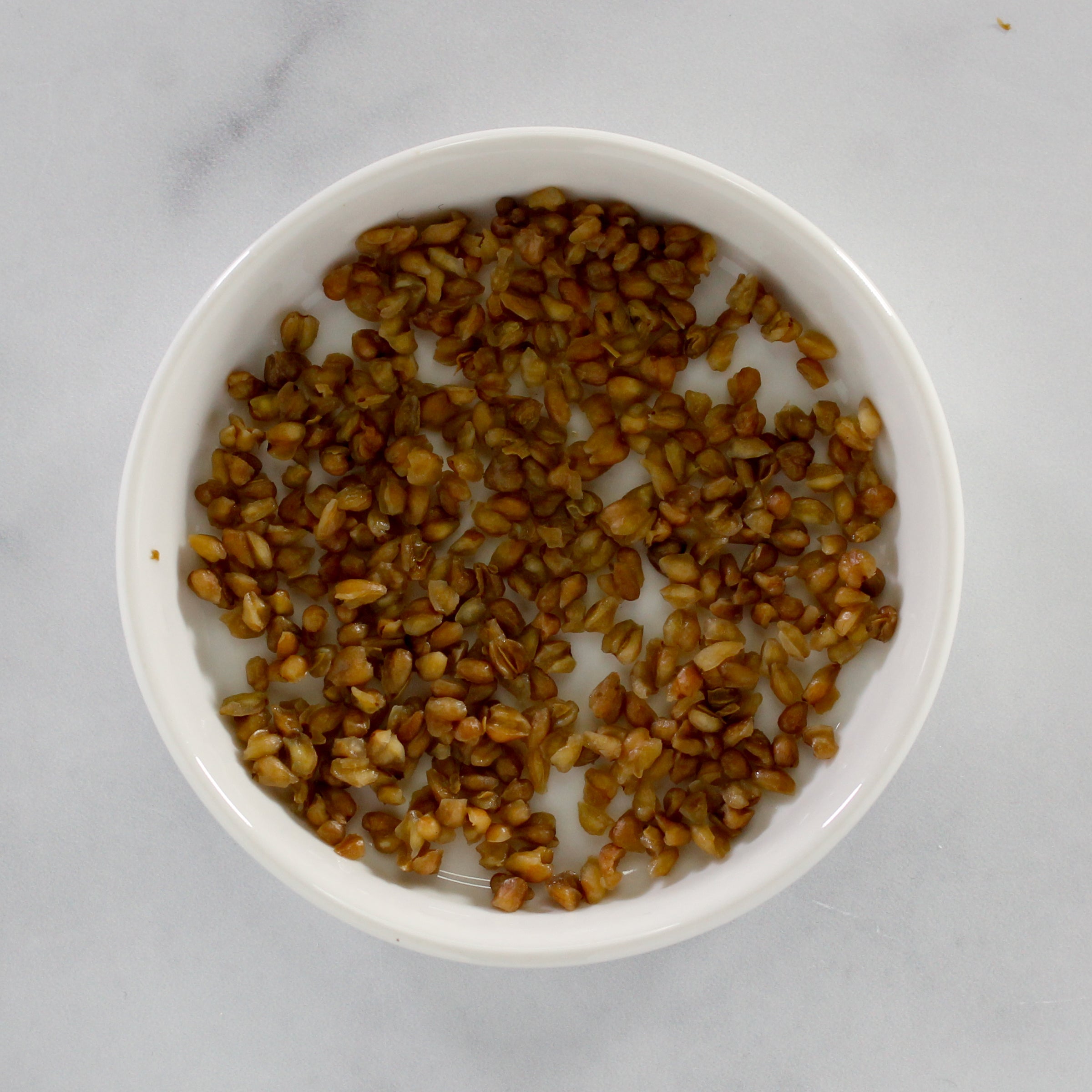 Organic Sobacha Buckwheat Tea - Gluten-Free & Antioxidant-Rich Japanese Herbal Tea for Detox & Relaxation - Perfect for Morning Energy Boost or Evening Wind-Down