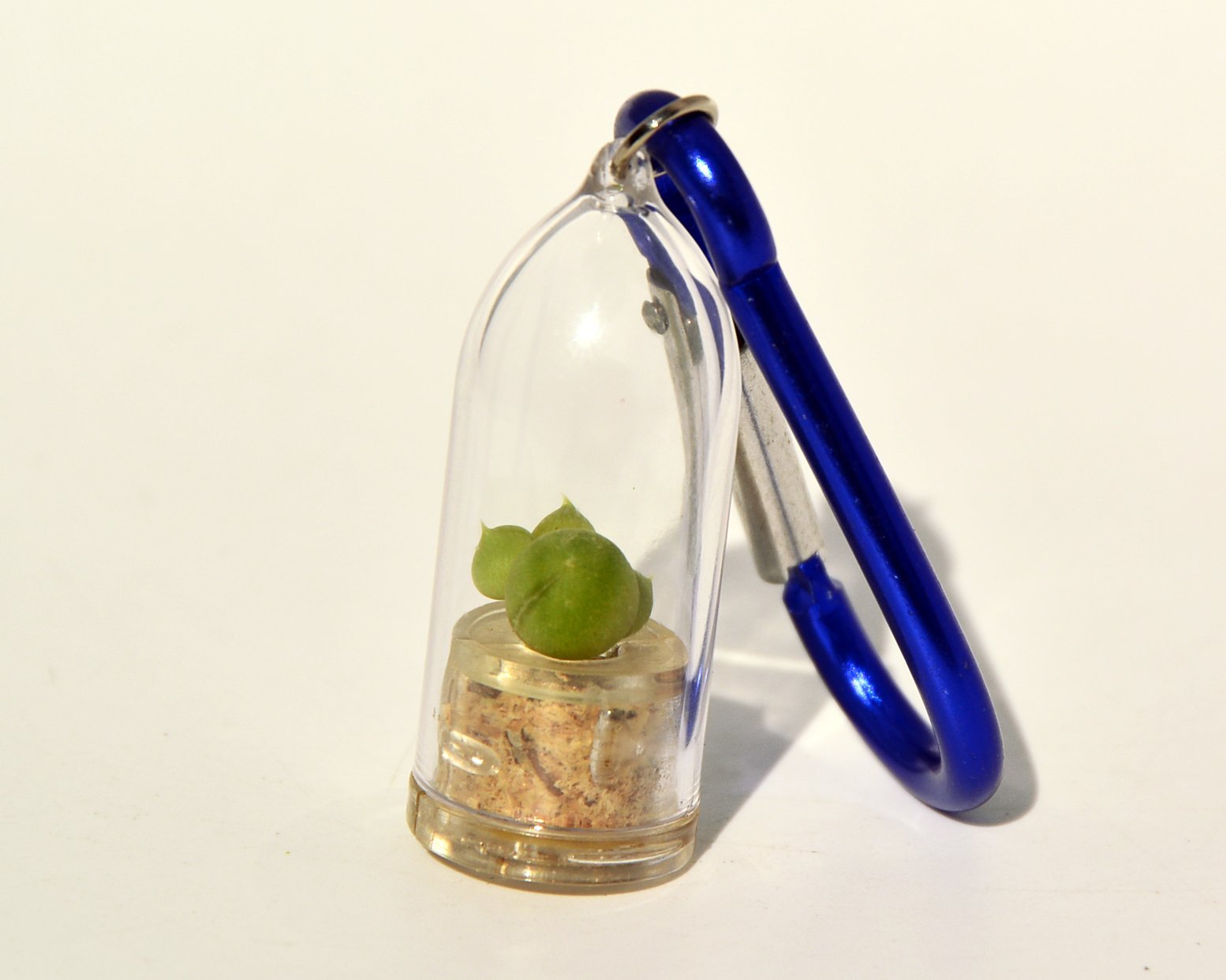 Live Succulent Terrarium Necklace with Pearls & Cacti - Unique Plant Jewelry Keychain for Women, DIY Terrarium Capsule Pendant (Pearls & Blue Clip) - Perfect for Boho Fashion, Gift Ideas & Nature Lovers