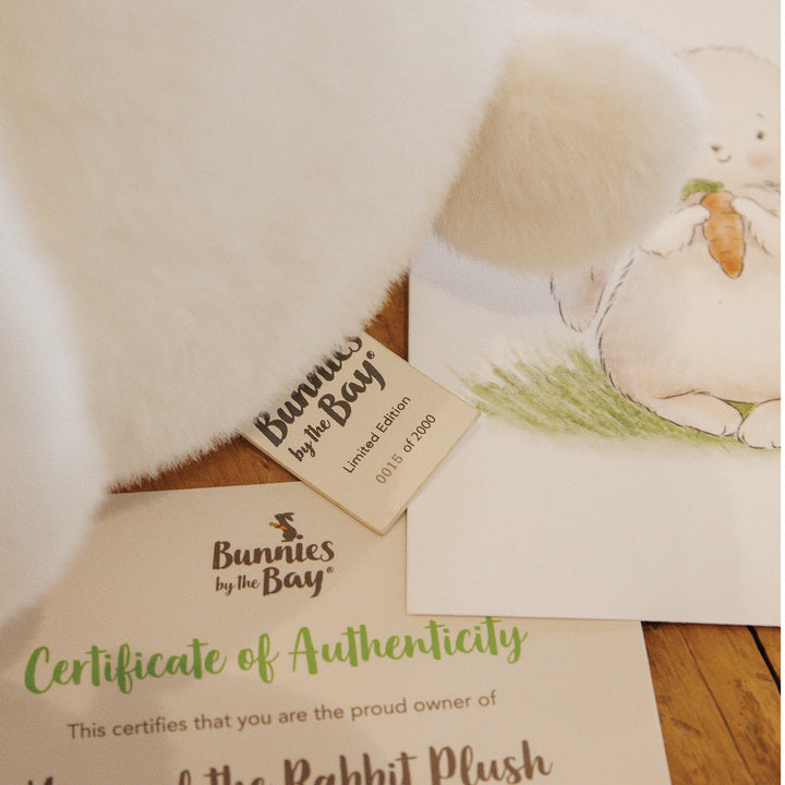 Limited Edition Year of the Rabbit Plush Toy - Cute Bunny Stuffed Animal for Collectors & Gifts | Perfect for Chinese New Year Decor, Nursery Room & Birthday Presents