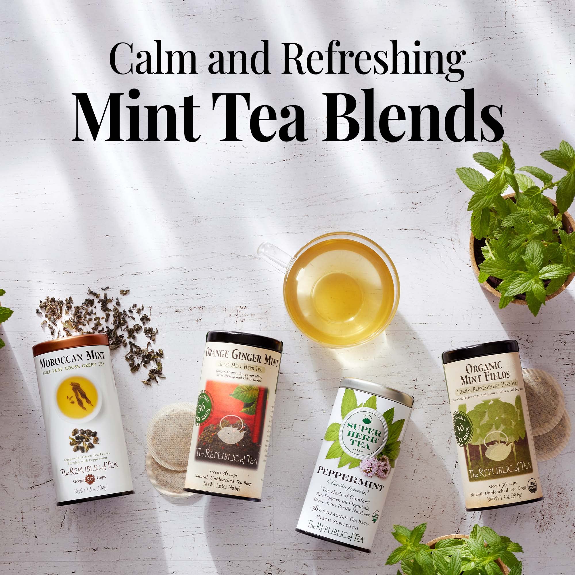 The Republic of Tea Orange Ginger Mint Herbal Tea - Caffeine-Free, 250 Tea Bags | Refreshing & Soothing Blend for Relaxation, After-Meal Digestive Aid & Cold Relief