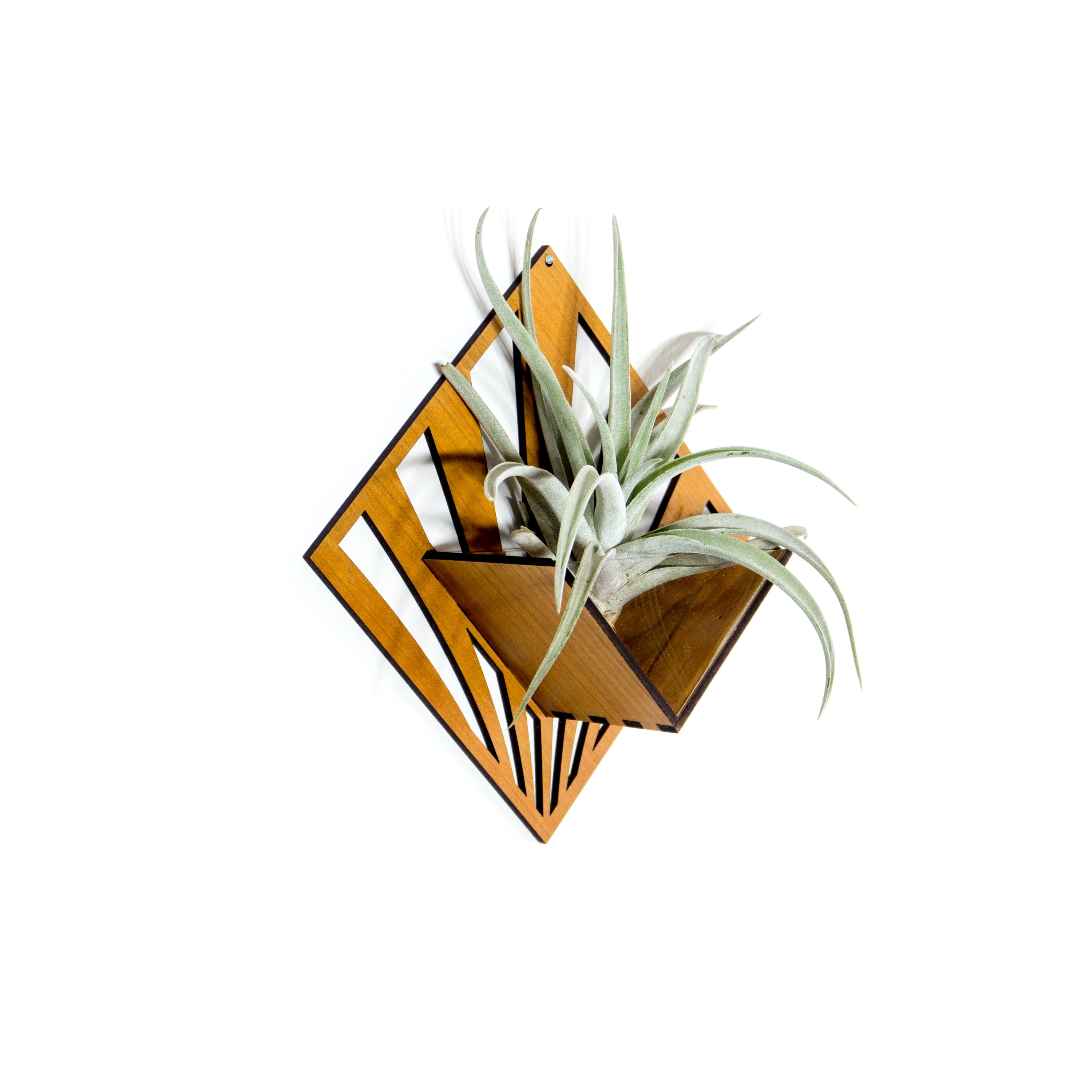Handmade Wooden Quadrate Wall Planter Set of 2 - Air Plant Holder & Mounted Hanger Display for Tillandsia | Rustic Home Decor, Unique Plant Lover Gift Idea for Living Room, Bedroom or Office Decor