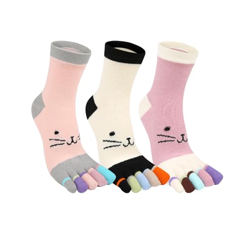 3 Pack-cats