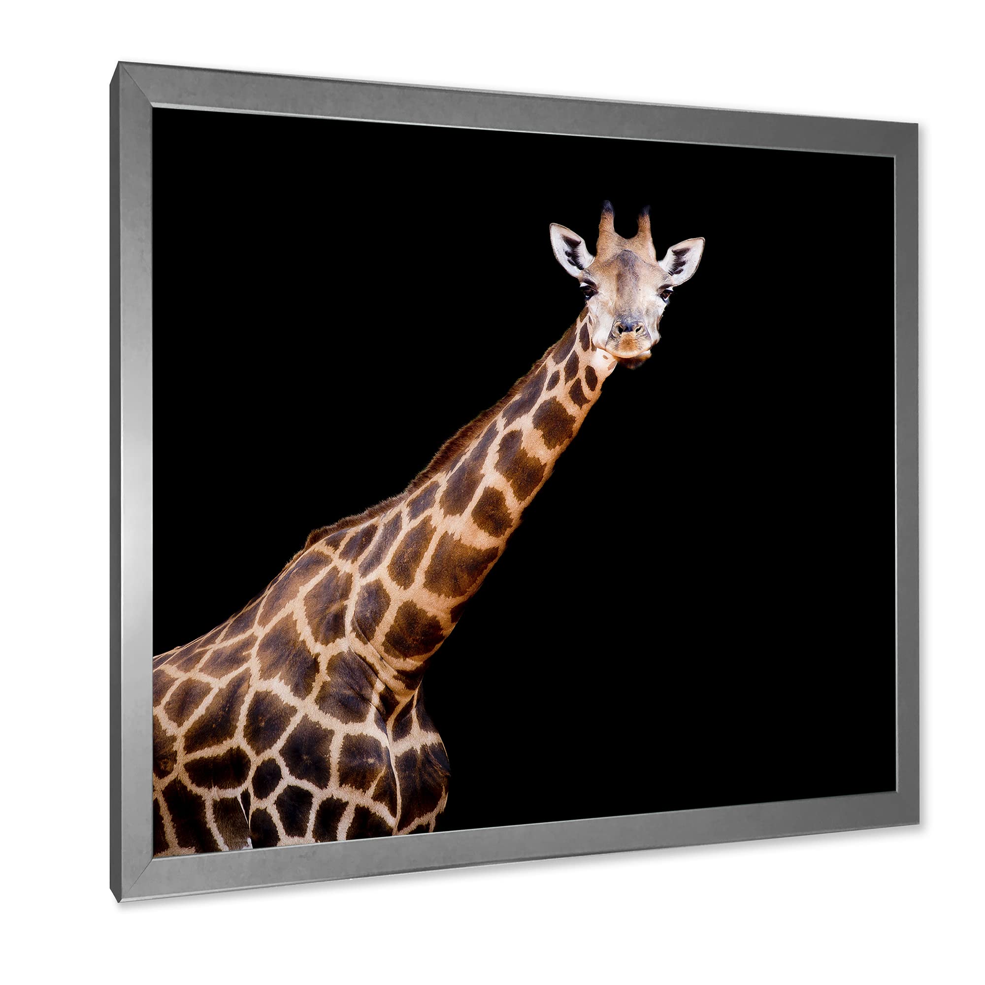 DesignQ Giraffe Portrait VII - Farmhouse Framed Wall Art Decor for Living Room, Bedroom & Office