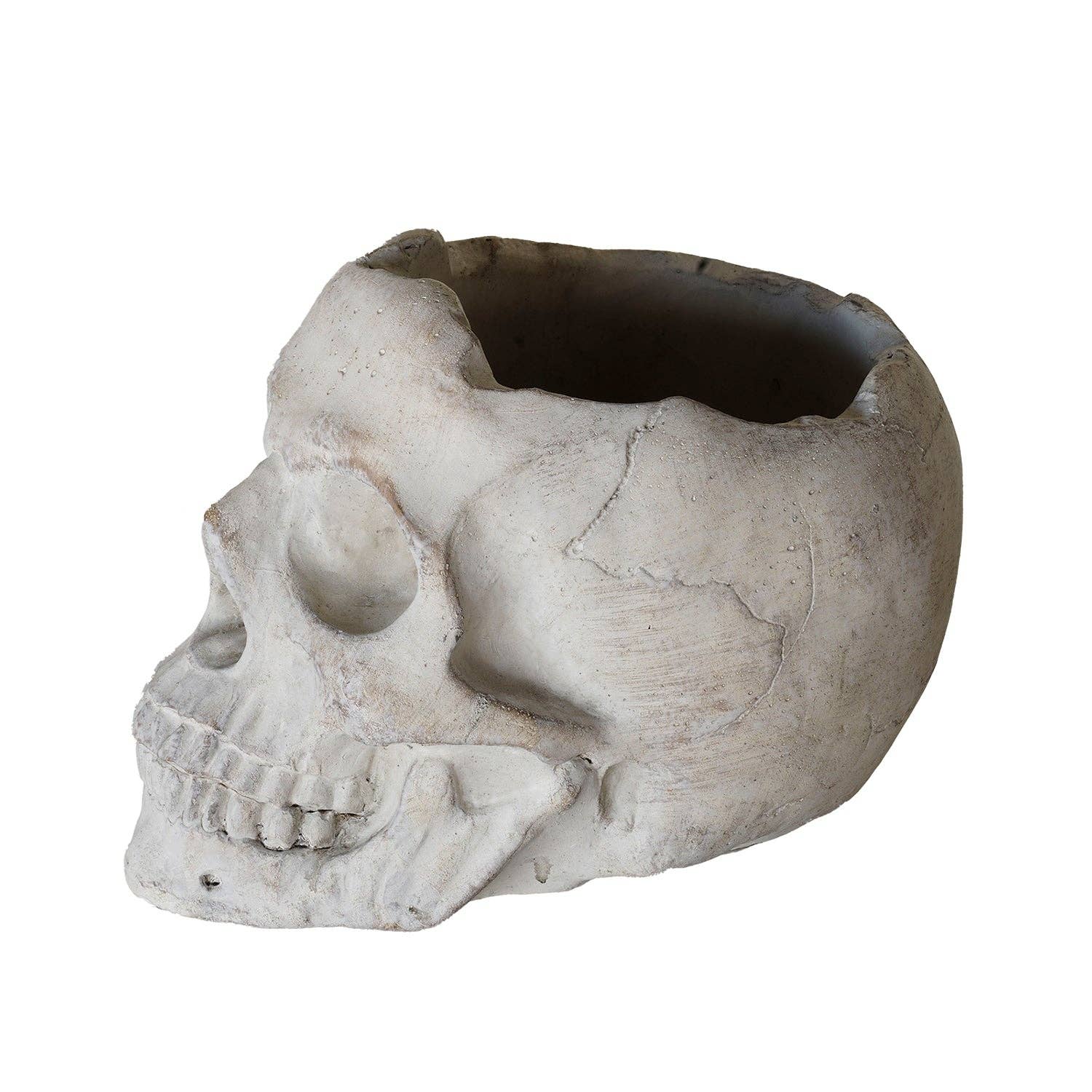 Concrete Memento Mori Skull - Gothic Home Decor, Meditation & Yoga Room Accent, Halloween Decoration, Unique Gift for Men & Women