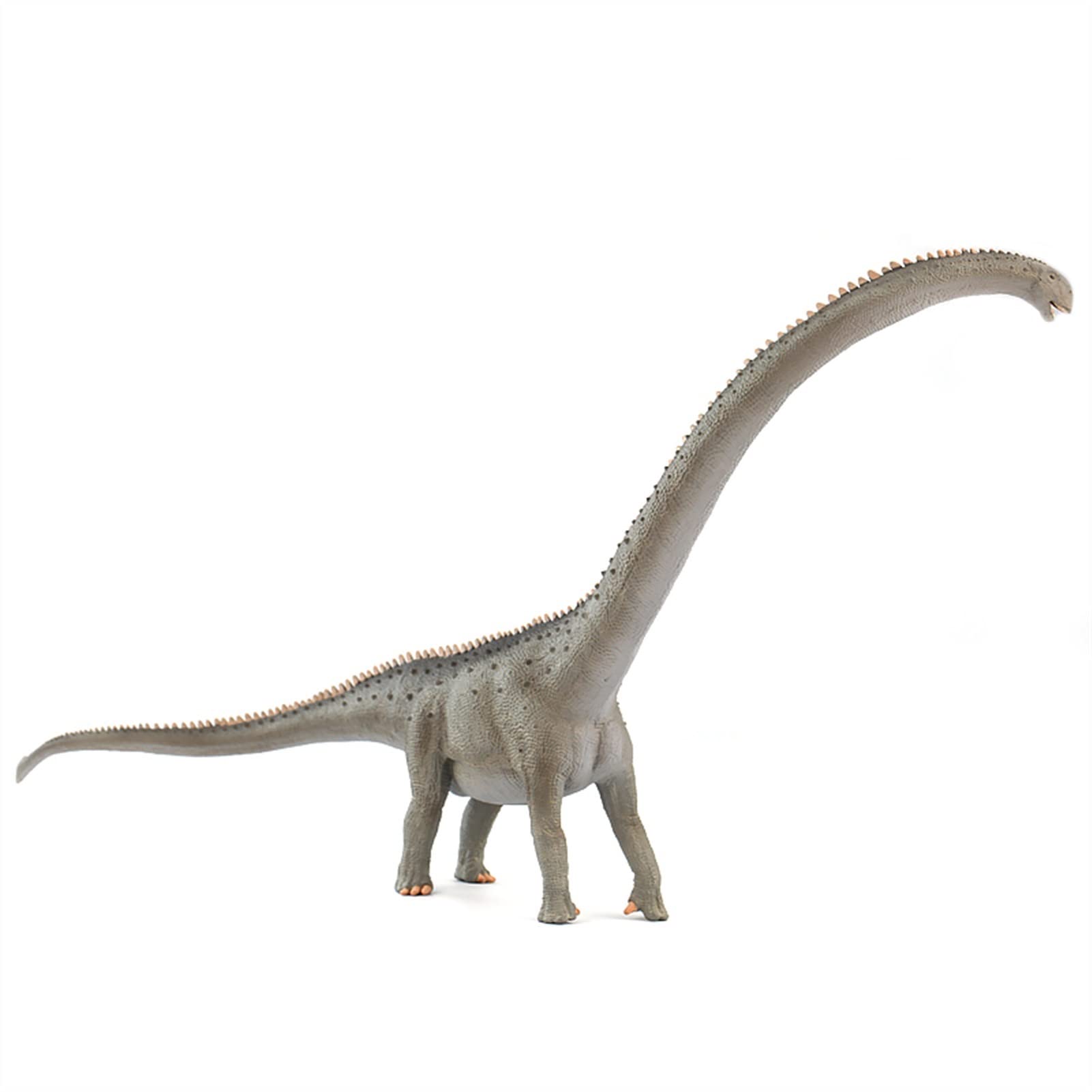 BELLAALONG Realistic PVC Rubber Dinosaur Toy - Static Simulation Mamenchilaurus Figure for Home & Office Decor | Jungle Animal Collection for Shelf Display & Educational Play