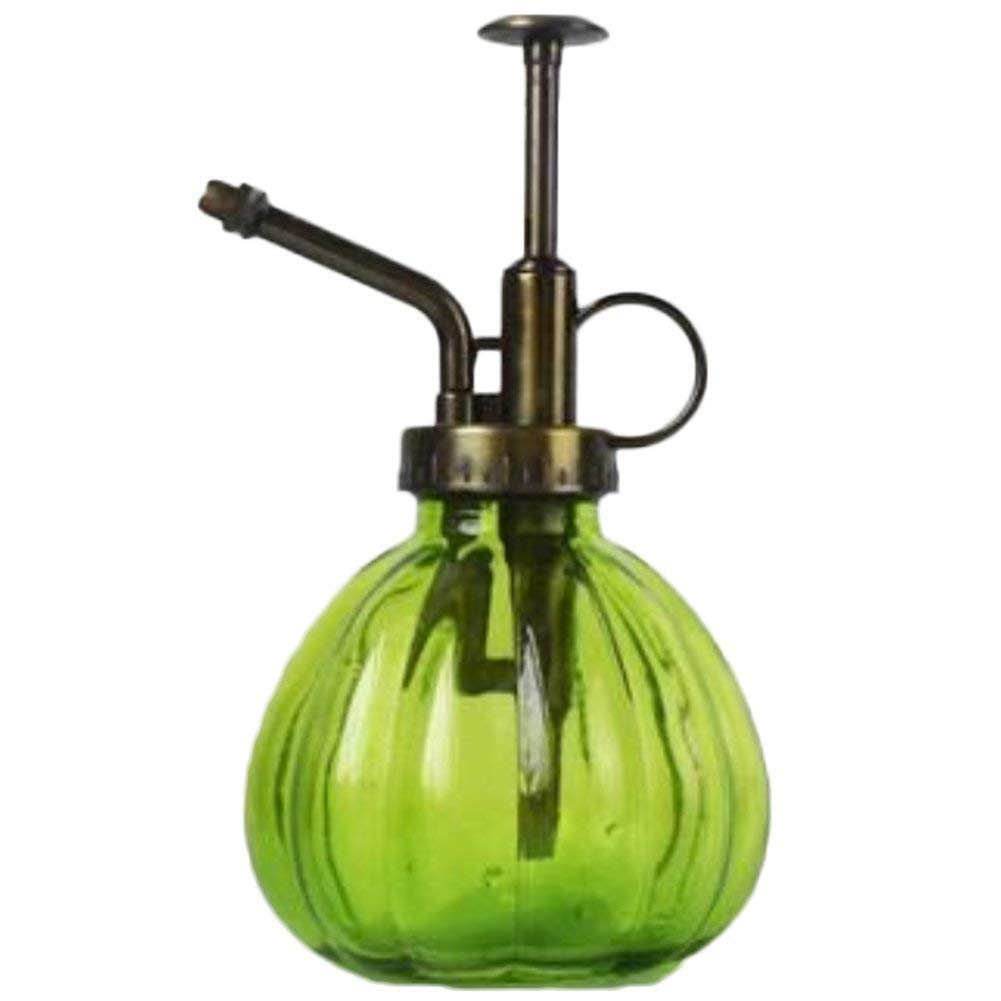 XYSQWZ Glass Flower Pots Indoor - 9