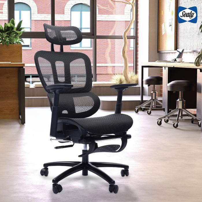 Sealy Huxley Adjustable Ergonomic Mesh Office Chair with Lumbar Support - Black for Home & Office Workspace Comfort
