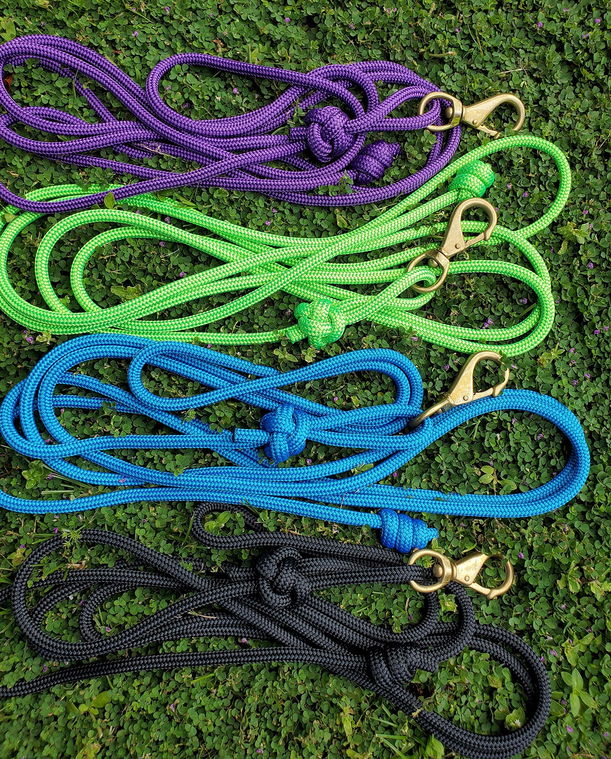 14 ft Blue Horse Lead Rope - 3/8
