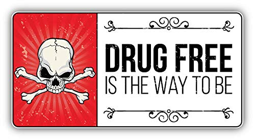 Anti-Drug Grunge Slogan Stainless Steel Keychain - 'Drug Free Is The Way To Be' Double-Sided Car Key Ring & Key Finder - Perfect for Teens, Students and Anti-Drug Awareness Campaigns