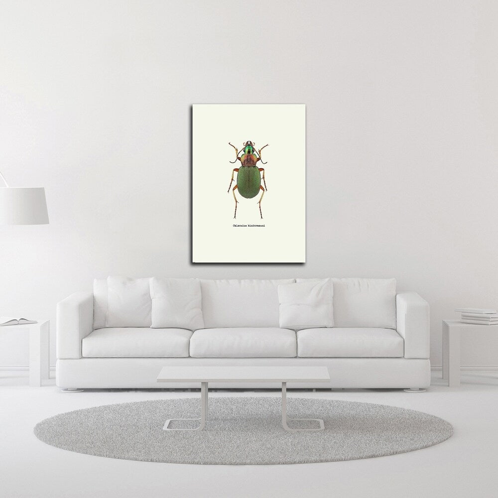Beetle Green by GraphINC - Premium Canvas Wall Art Print - Ready to Hang - Perfect for Living Room, Bedroom & Office Decor