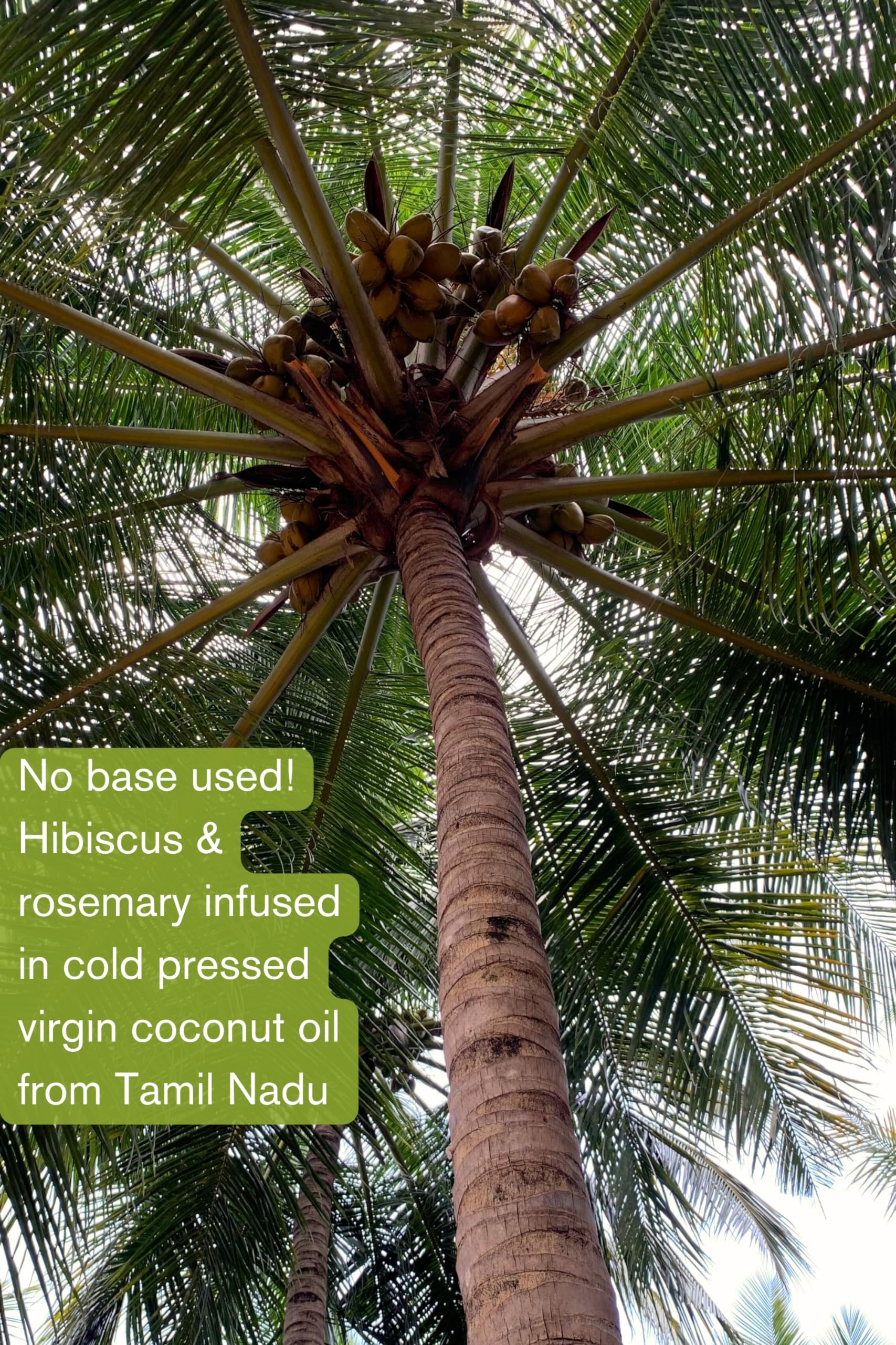 Nature Mill Hibiscus Rosemary Hair Serum Oil - 100ml Coconut Peppermint for Stronger Hair Growth | Natural Hair Care Treatment for Dry, Damaged Hair | Perfect for Daily Use & Scalp Massage