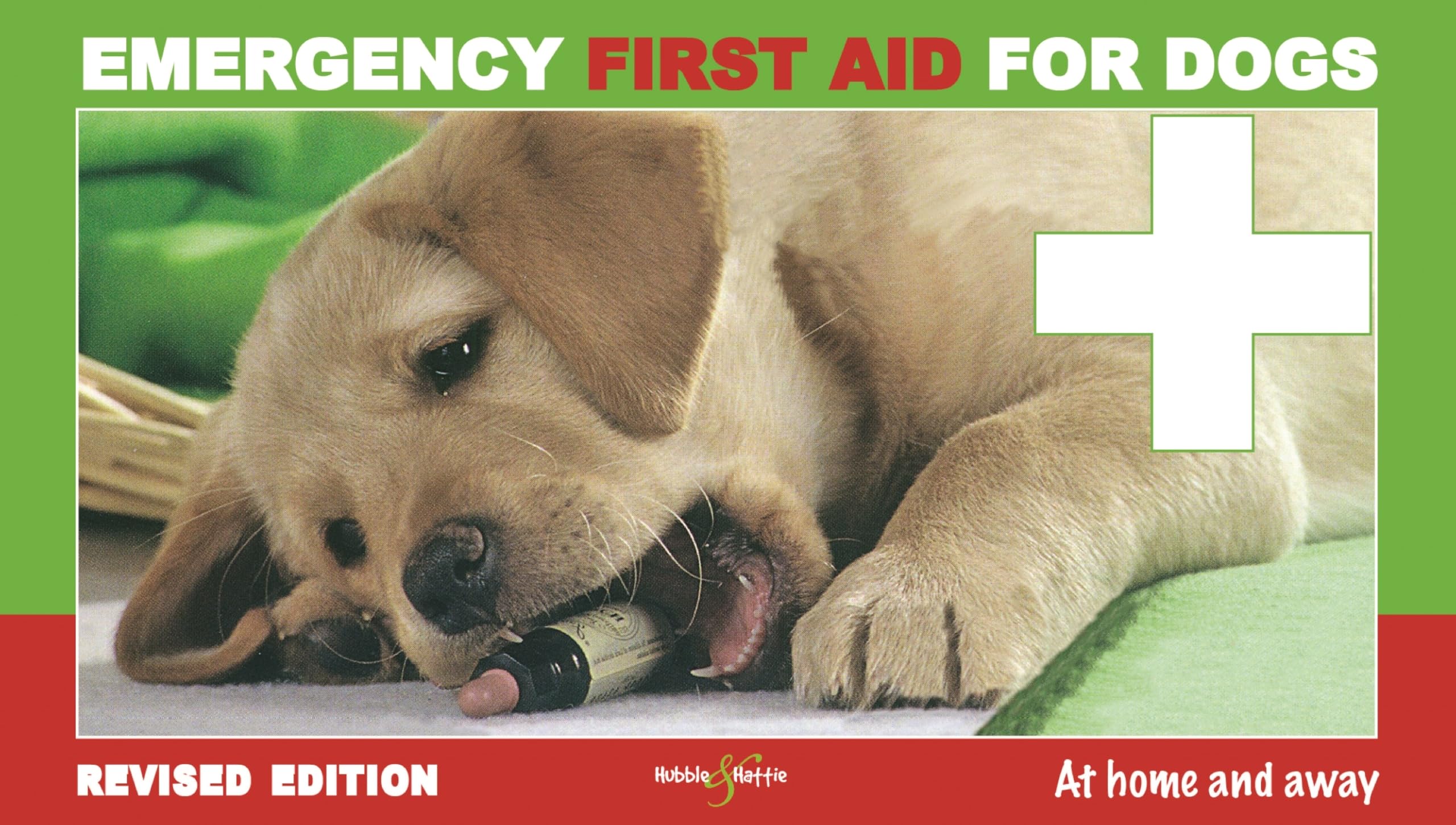 Dog First Aid Kit - Essential Emergency Supplies for Pets at Home & Travel | Pet Safety for Hiking, Camping & Outdoor Adventures