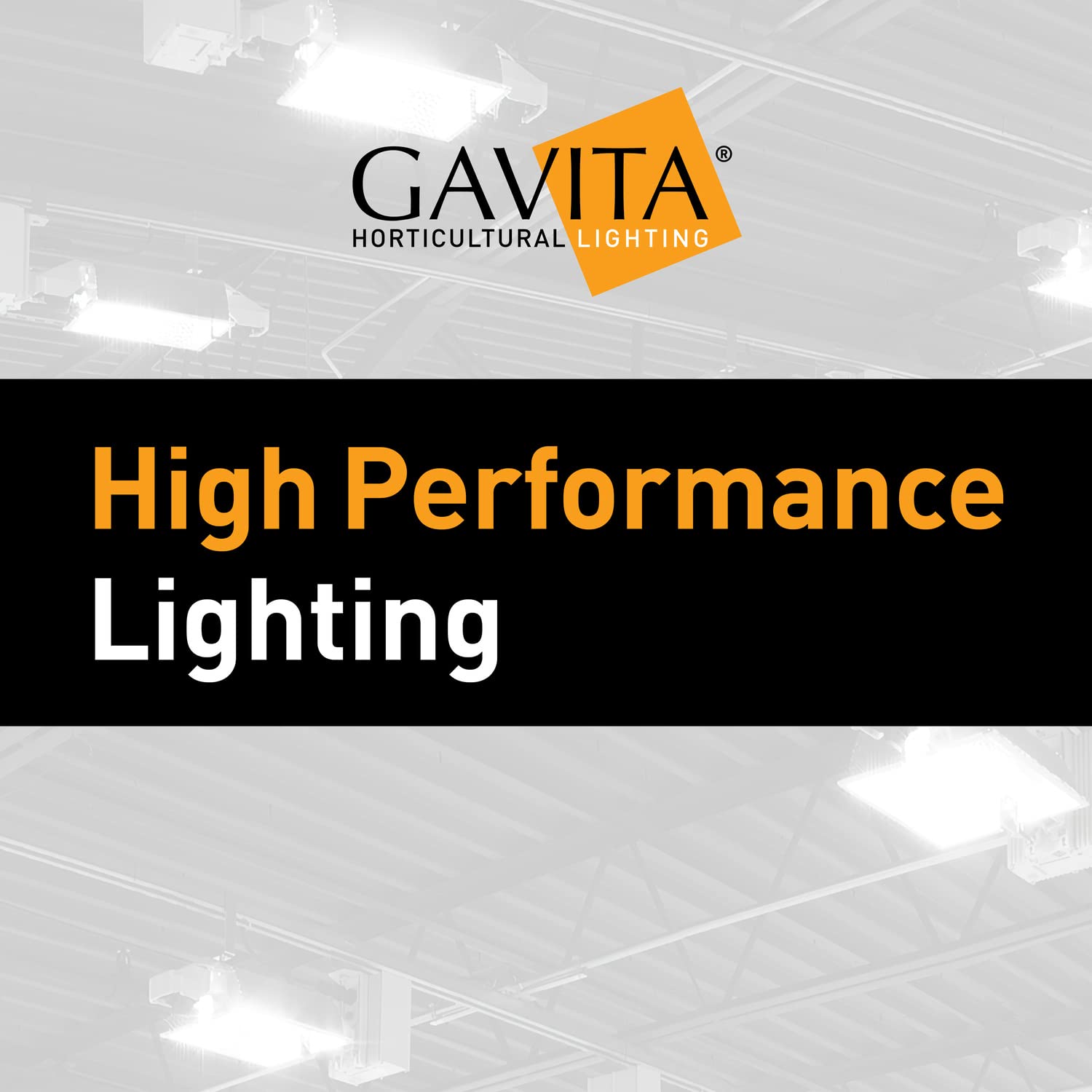 Gavita Master Controller EL1 Gen 2 - Advanced Grow Light System Controller for Indoor Hydroponic Plants & Greenhouse Cultivation - Perfect for Commercial Growers & Horticulture Enthusiasts