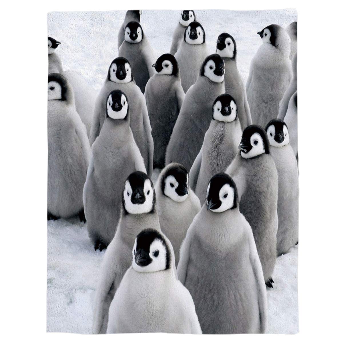 LUSWEET Soft Plush Fleece Throw Blanket - Cute Penguin Design, 40x50 Inch, Lightweight & Warm for Sofa, Bed, Couch - Perfect for Cozy Nights, Movie Time, and Winter Comfort