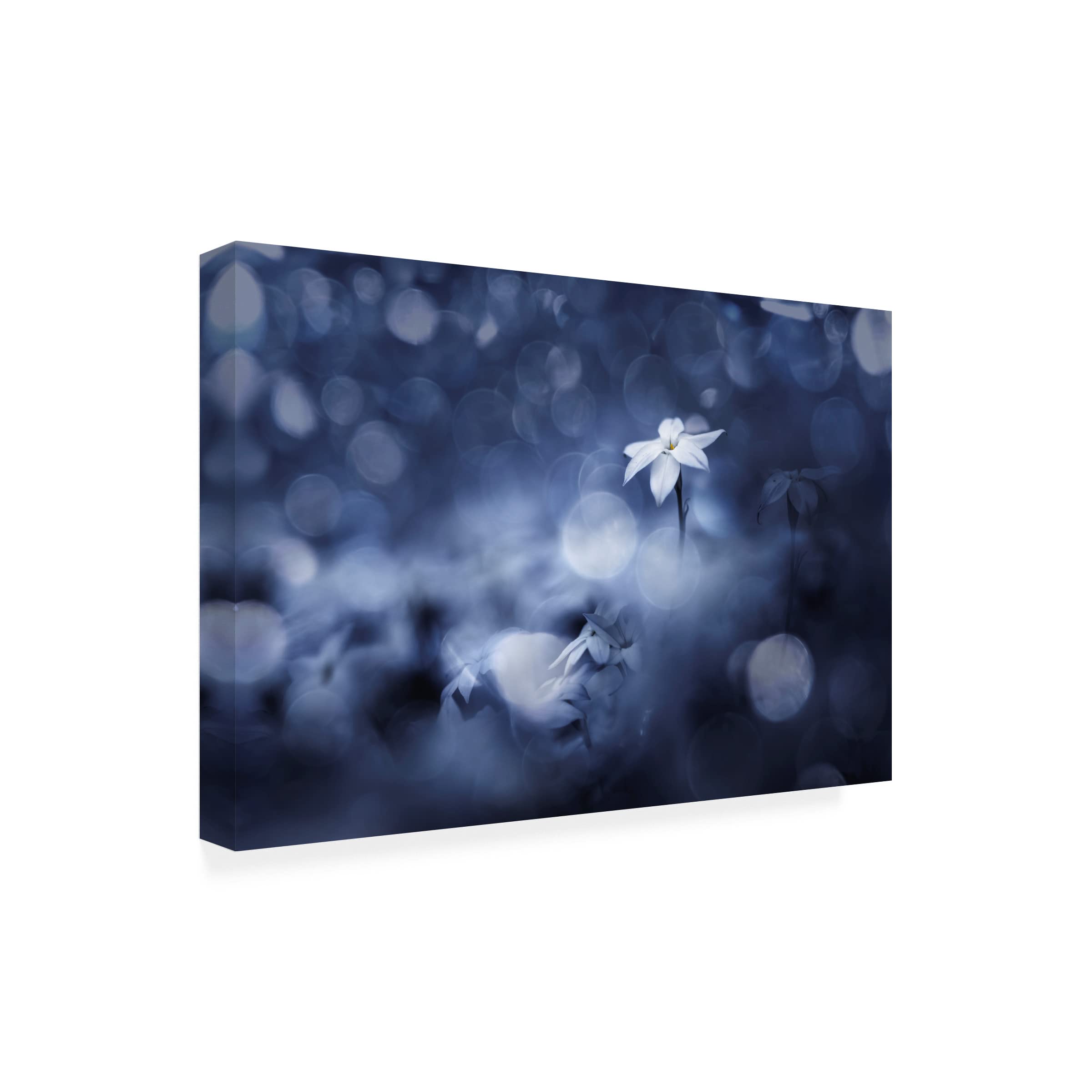 Takashi Suzuki 'Sparkling Background' Canvas Art Print - Modern Abstract Wall Decor for Living Room, Bedroom & Office - Premium Trademark Fine Art Collection