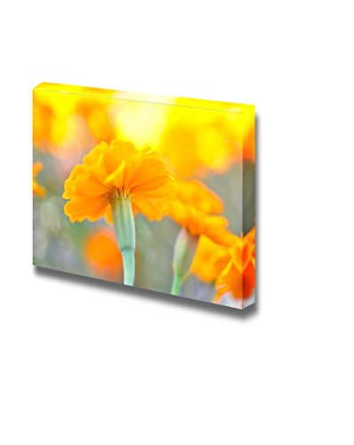 Yellow Cosmos Flower