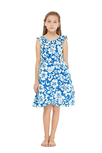 Classic Blue Hibiscus