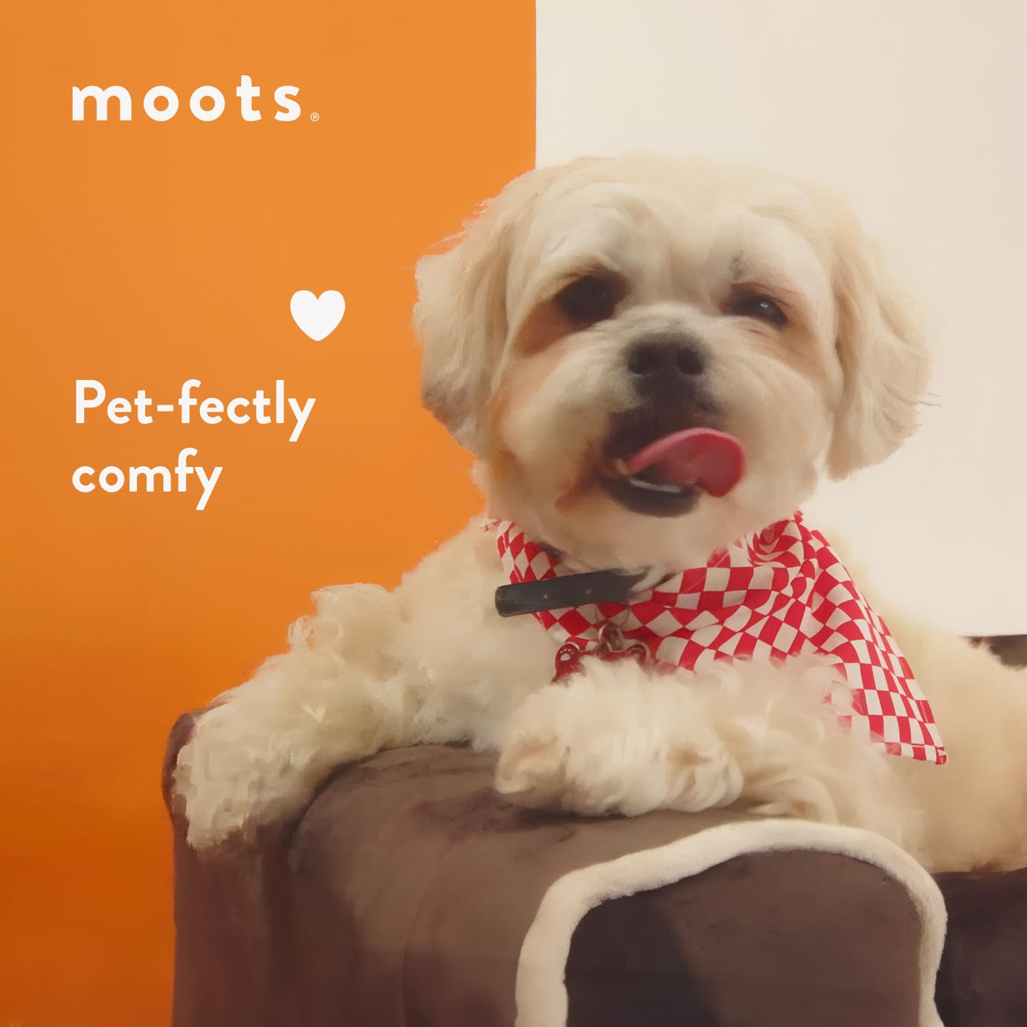 Premium Moots Furry Pet Lounge - Large Deluxe Dog Bed with 2 Comfort Pillows, Washable Chocolate Brown Pet Sofa for Small to Medium Dogs - Perfect for Living Room, Bedroom & Pet-Friendly Spaces