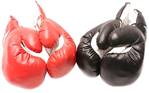 Premium 12oz Boxing Gloves for Men & Women - Red & Black Punching Gloves for Training, MMA, Sparring & Fitness Workouts - Ideal for Boxing Gyms, Home Workouts & Martial Arts Practice