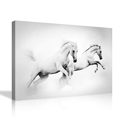 Animal wall art 13