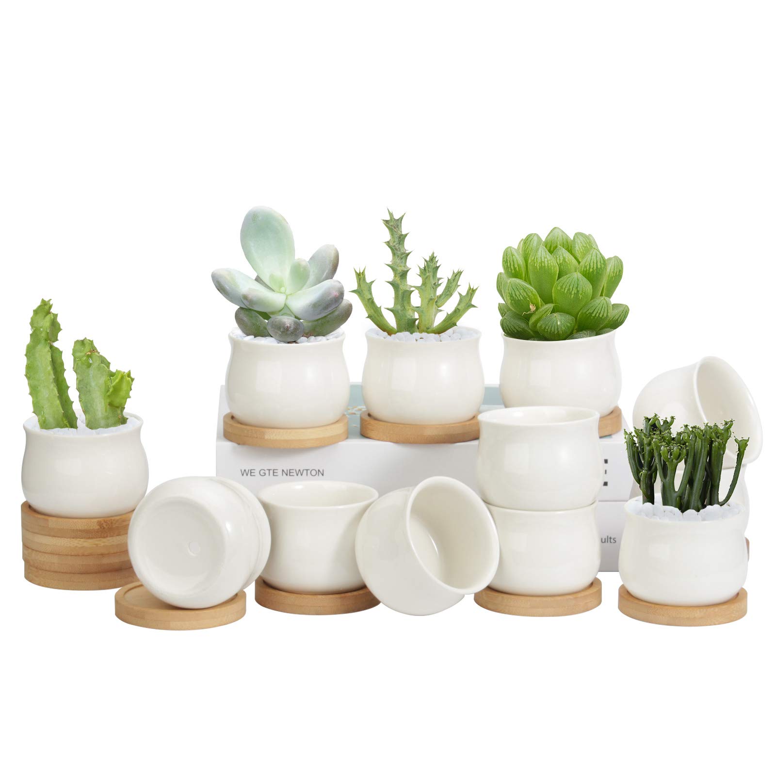 ZOUTOG 12 Pack 2.5 Inch White Mini Ceramic Succulent Pots with Drainage Hole - Small Square Pattern Planters for Indoor Plants, Home Decor, Office Desk, Wedding Favors (Plants Not Included)