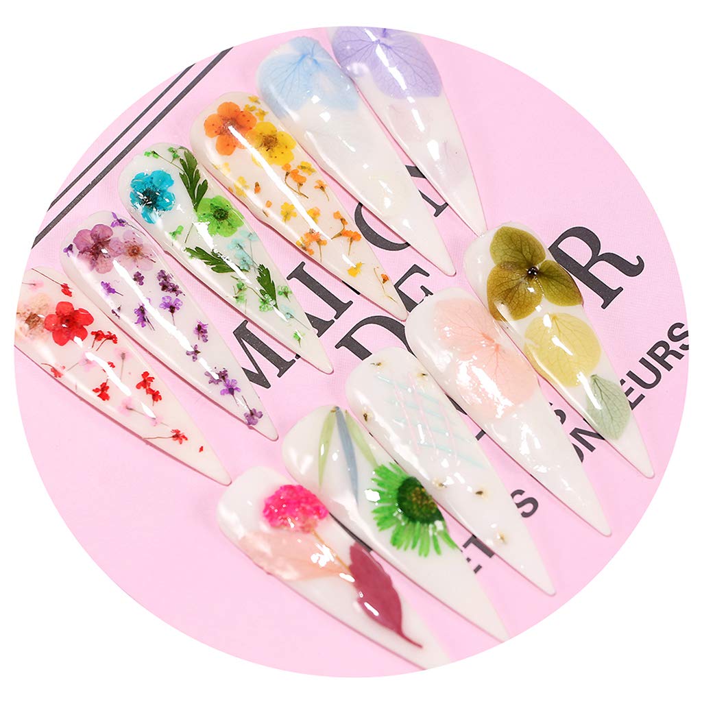 VMS INDIA Dried Flowers for Nail Art - Manicure Tools for Acrylic & UV Gel Tips Decoration (9-Pack) - Perfect for DIY Nail Designs, Salon Use, and Creative Nail Art Projects