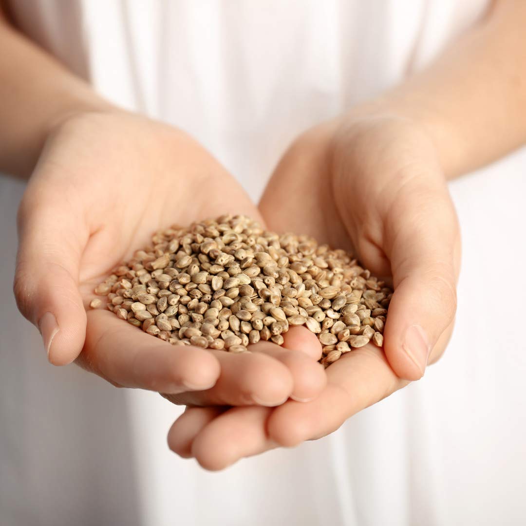 Organic Hemp Seeds for Coffee & Baking - Gluten-Free Superfood Snacks (9 oz Jar) - Perfect for Smoothies, Salads & Healthy Recipes
