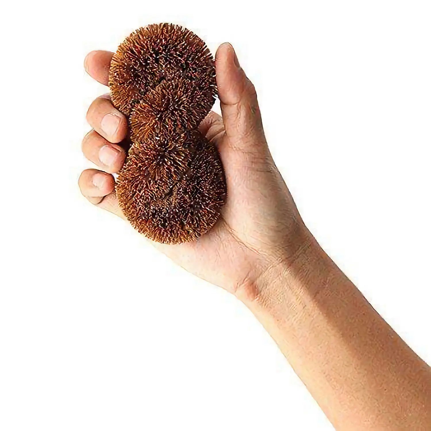 Eco-Friendly Coconut Coir Fiber Dish Scrubber - Natural Kitchen Cleaning Brush for Pots, Pans & Dishes (Brown) | Biodegradable & Durable for Daily Dishwashing & Household Cleaning