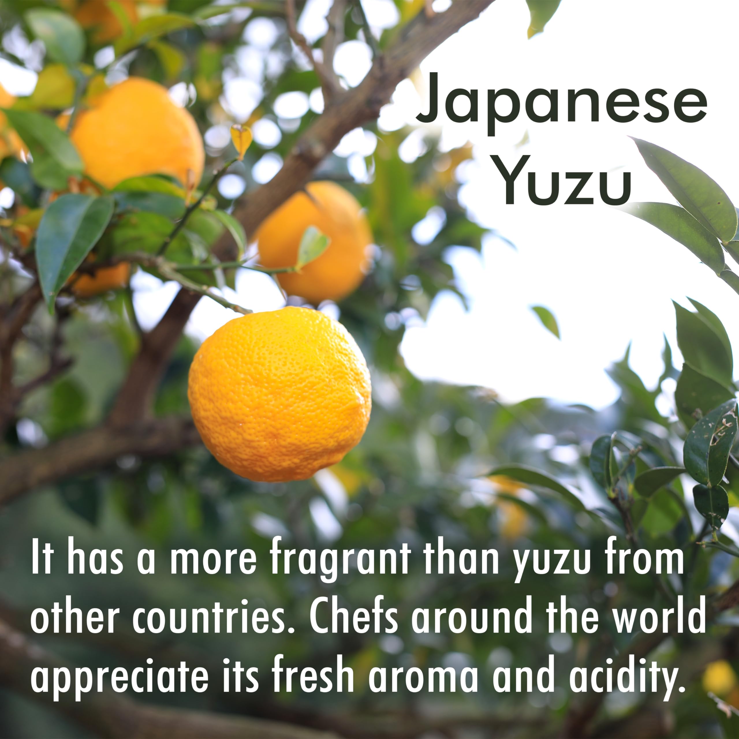 Japanese Yuzu Juice 100% Pure - No Additives, Vegan for Cooking & Drinks