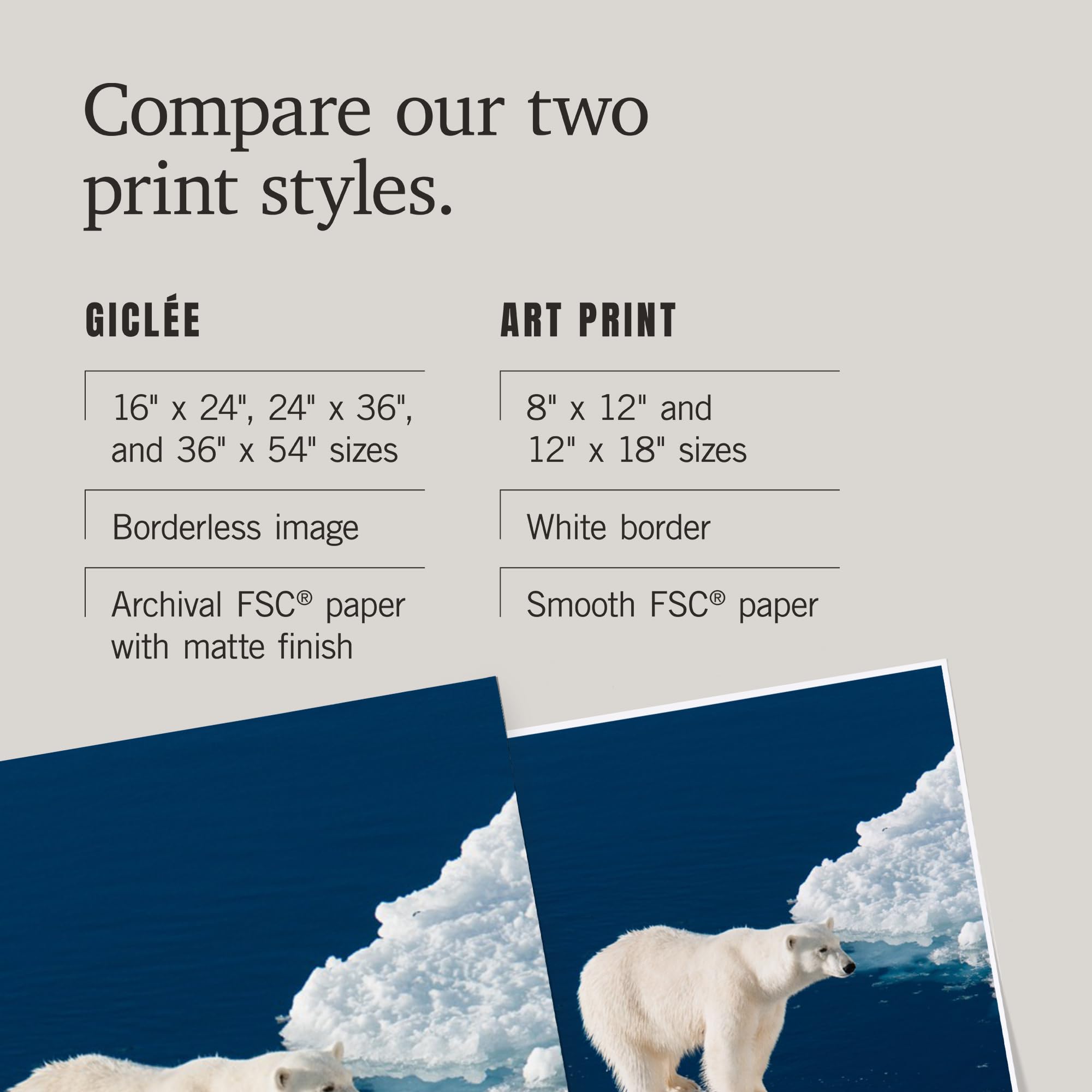 Lantern Press 16x24 Inch Polar Bear and Reflection Giclee Art Print - Premium Wall Decor for Living Room, Bedroom & Office