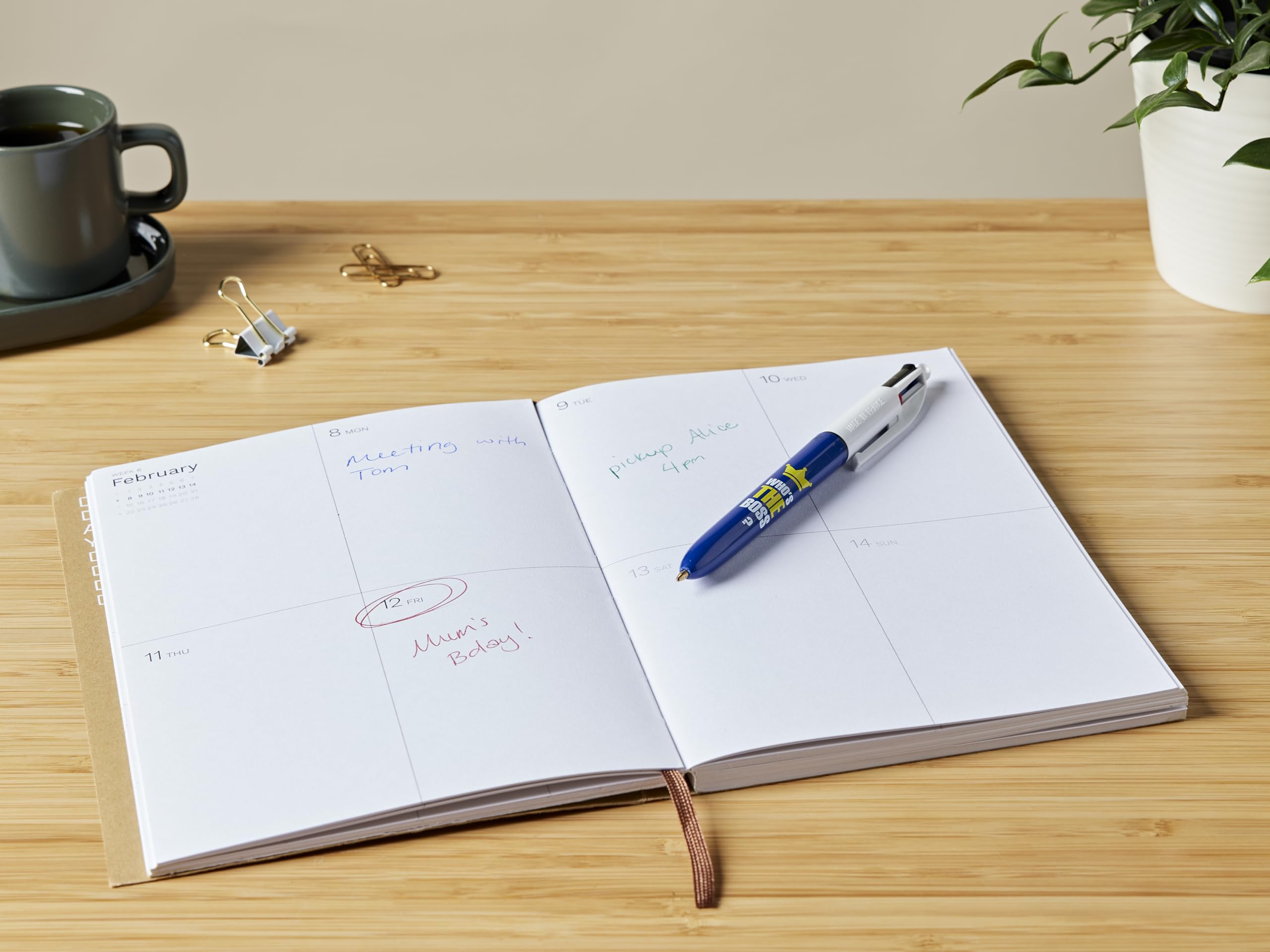 Bic 4-Color Ballpoint Pens - Medium Point 1mm (12-Pack) - Who's The Boss Design - Perfect for Office, School & Note Taking