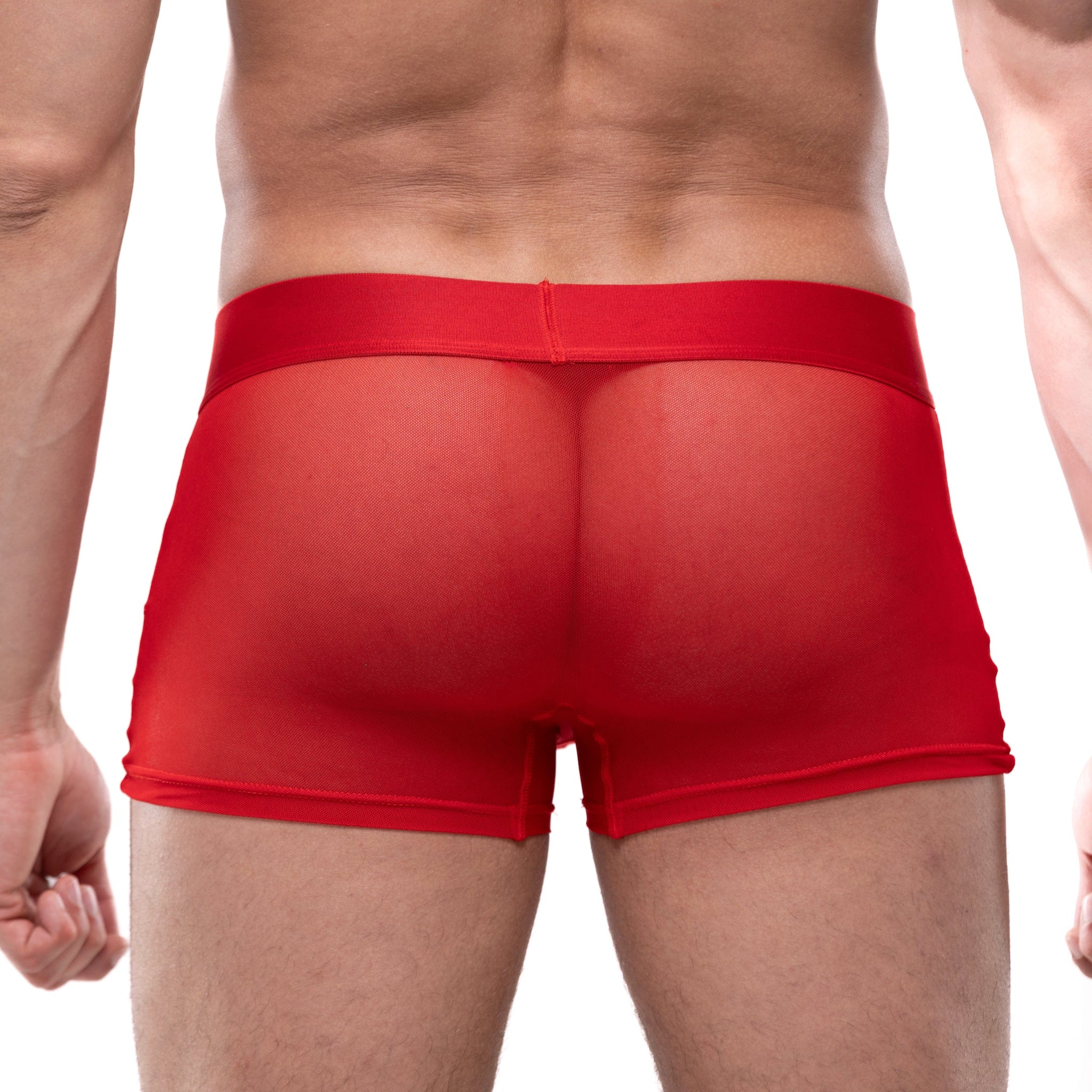 Just The Bones Sheer Trunk Red - Sexy Sheer Underwear for Women | Comfortable & Breathable Lingerie | Perfect for Date Night & Special Occasions