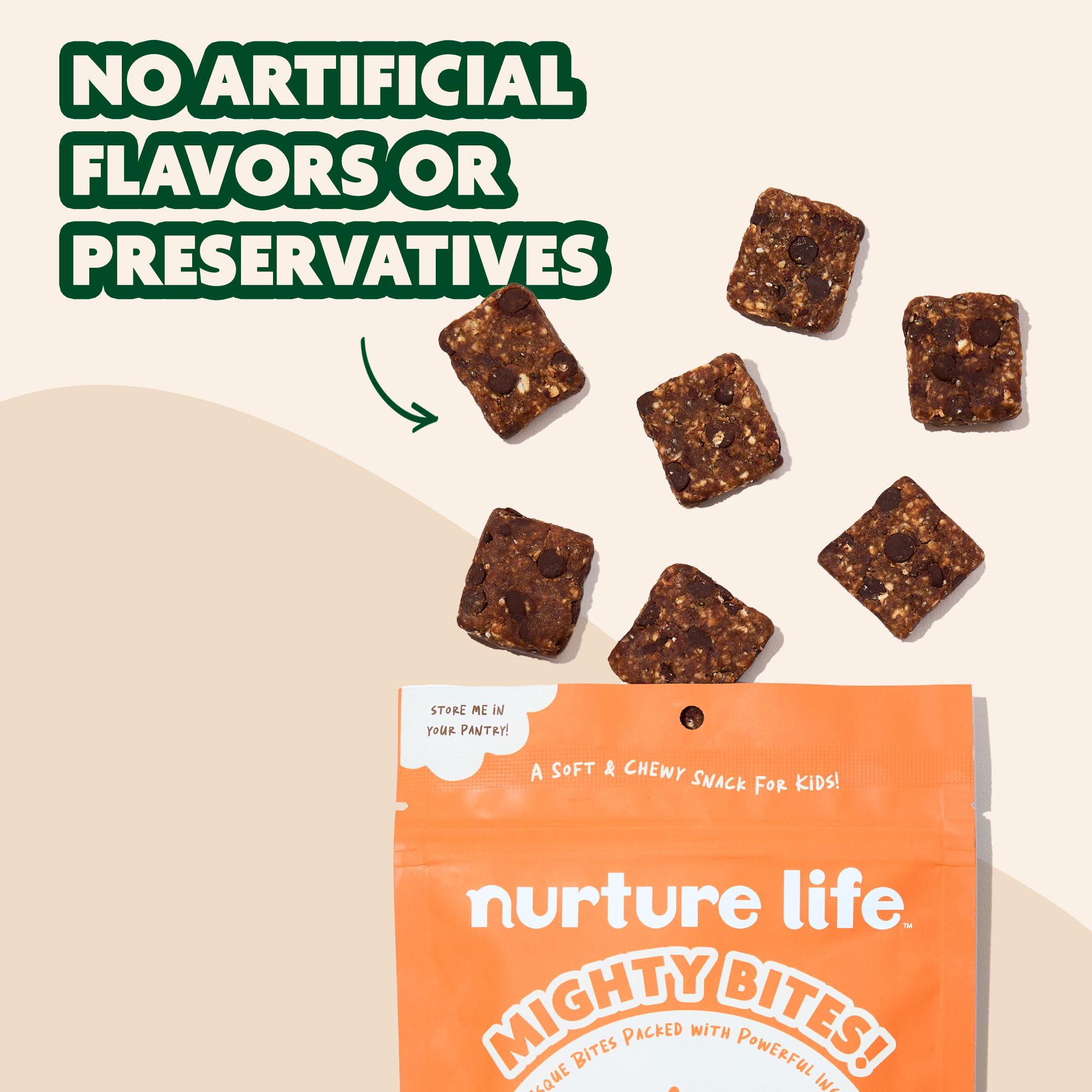 Organic Chocolate Chip Oatmeal Bites for Kids & Toddlers – High Protein, High Fiber, Low Sugar Healthy Snacks | Plant-Based Mighty Bites for School, Travel & On-the-Go | 15-Piece Pack (Nurture Life)