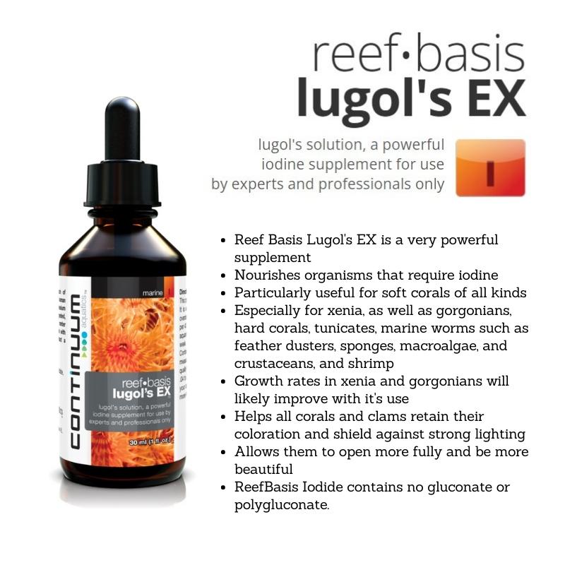 CONTINUUM Reef Basis Lugol's EX - Premium Iodine Supplement for Saltwater Aquariums - Ideal for Coral Growth and Fish Health in Reef Tanks