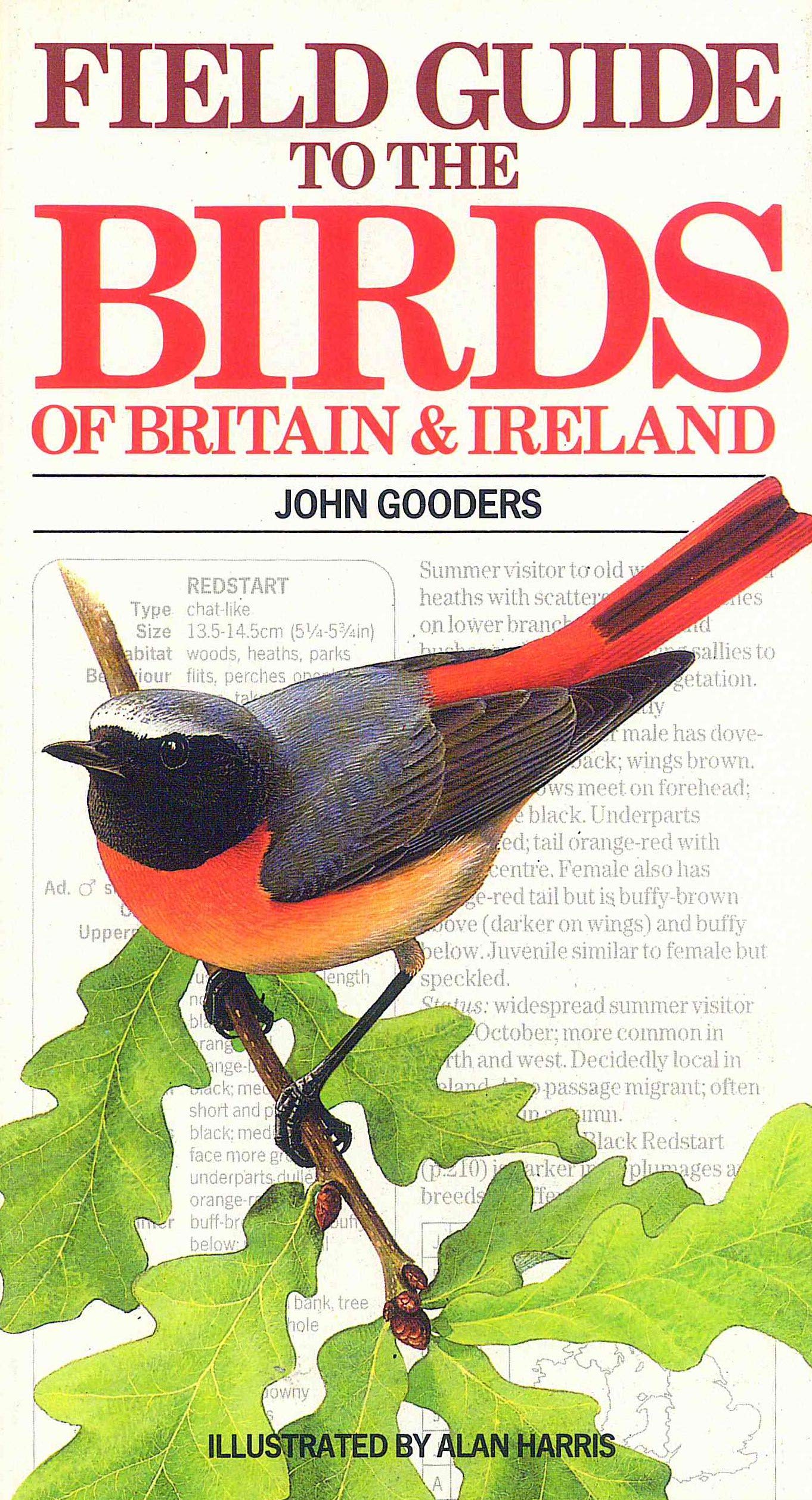 Field Guide to the Birds of Britain and Ireland | Kingfisher Field Guides | Birdwatching & Nature Exploration