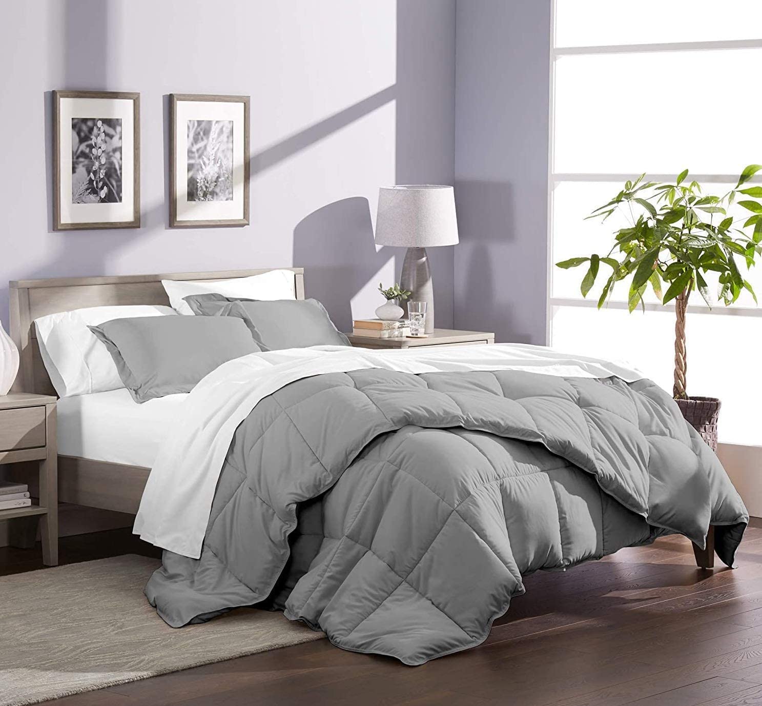 Luxury 800 Thread Count 100% Egyptian Cotton Comforter - All Season Goose Down Alternative - 300 GSM - Full/Queen Size - Silver Grey - Hotel Quality Bedding for Ultimate Comfort - Perfect for Master Bedrooms, Guest Rooms & Cozy Nights
