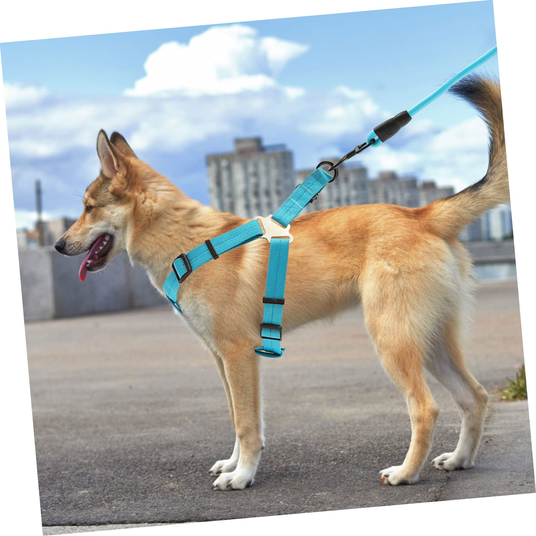 SUPVOX 5-Pack Heavy Duty Dog Leash Set with Metal Clips - Durable Rope Leash & Harness for Large Dogs - Perfect for Walking, Training, and Outdoor Adventures