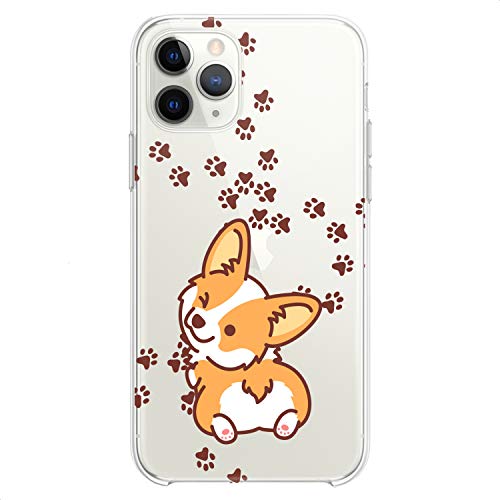 Puppy Corgi