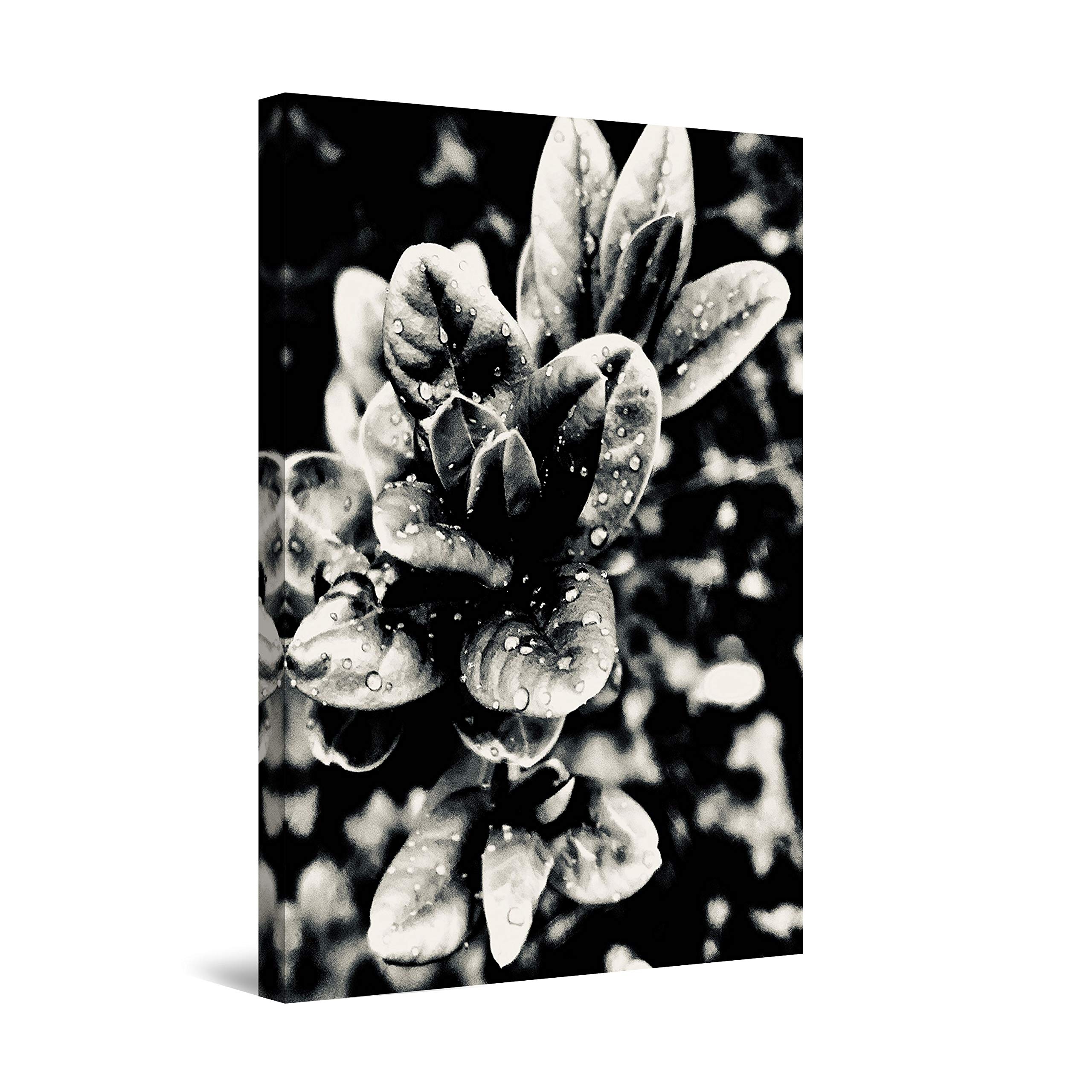 Startonight Black and White Nature Canvas Wall Art - 24x36 Inch Modern Landscape Print for Bedroom, Living Room & Office Decor - Perfect for Home, Apartment and Workspace Interior Design