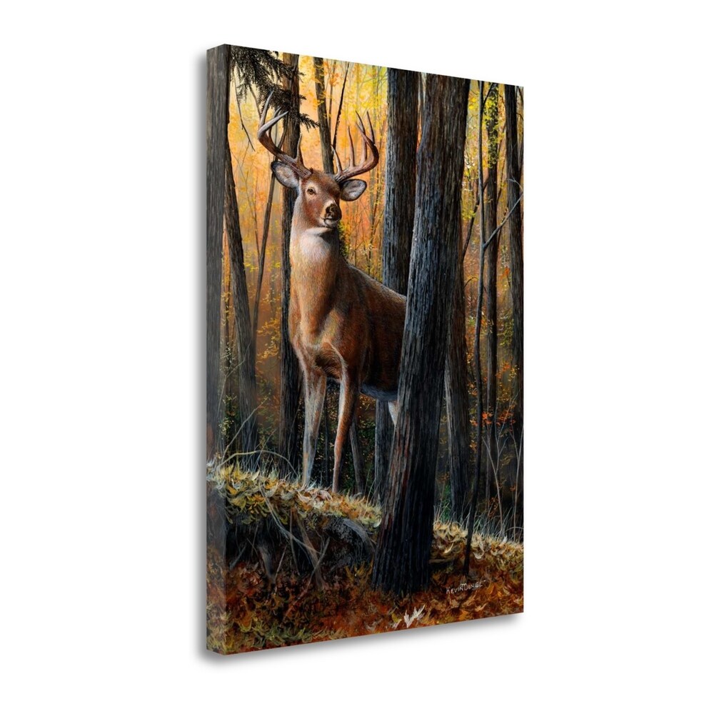 Autumn Monarch by Kevin Daniel - Premium Fine Art Giclee Print on Gallery Wrap Canvas, Ready to Hang Wall Decor - Perfect for Living Room, Bedroom & Office Art Display