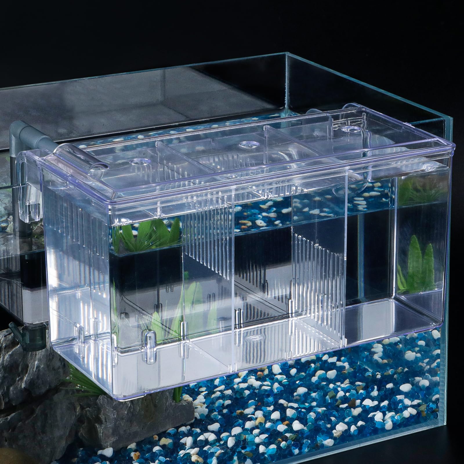 Pawfly Acrylic Aquarium Breeding Box - Fish Tank Hatchery & Incubator for Guppy, Betta, and Aggressive Fish - Perfect for Safe Fry Rearing and Fish Separation in Home Aquariums