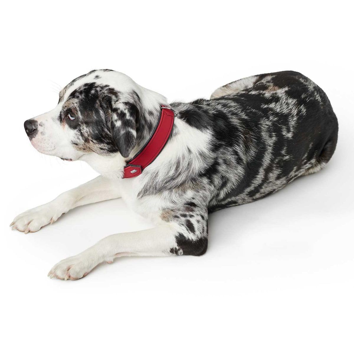 Hunter Softie Dog Collar - Medium Size, Red - Comfortable & Adjustable Pet Collar for Small to Medium Dogs - Perfect for Daily Walks, Training & Outdoor Adventures